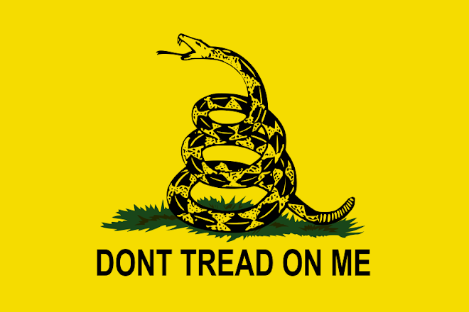 The Gadsden Flag