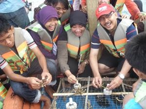 Thematic project activity