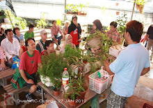 Educational Visit - Hydroponic Farm