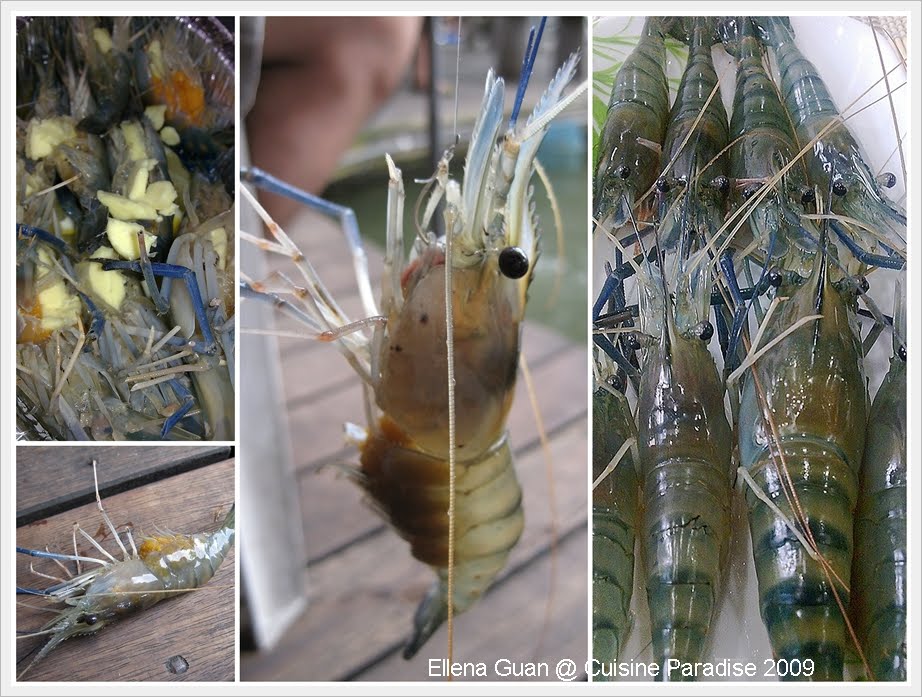 Cuisine Paradise Eat, Shop And Travel Exploring Bottle Tree Park