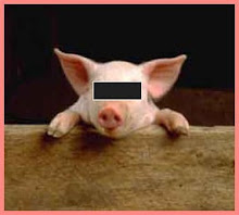 Anonymous pig