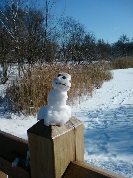 [snowman_n.jpg]