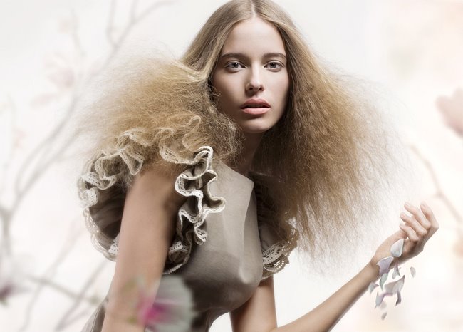 [VaniH_web+061008_02.jpg]