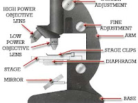 Microscope Diagram With Labels Microscope Diagram With Labels