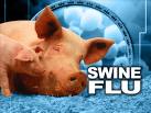 [Swine+Flu.jpg]