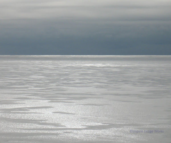 Lake Erie: January 4, 2010 - 11:45 AM