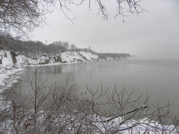 Lake Erie: January 5, 2010 - 3:50 PM