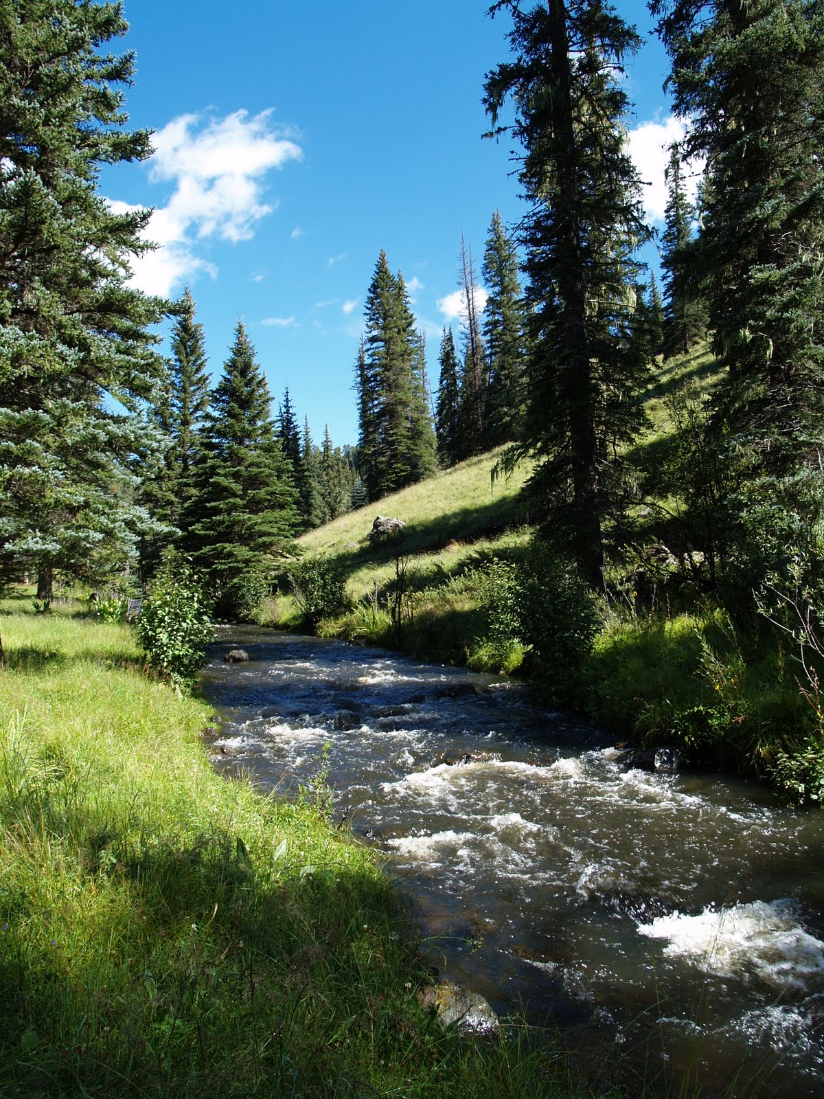Arizona Hiking WEST FORK of the BLACK RIVER
