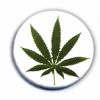 erMarihuana