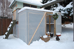winter chickens coop run plastic backyard winterizing way inside heat snow open light cold