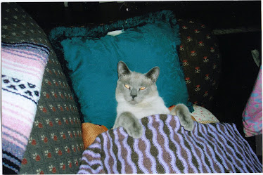 CoCo Relaxing