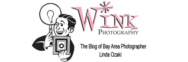 Wink Photography