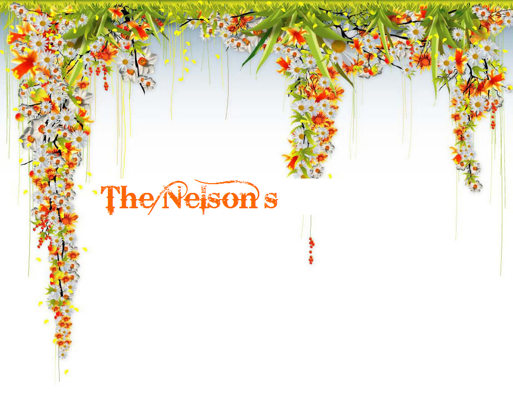 The Nelson's