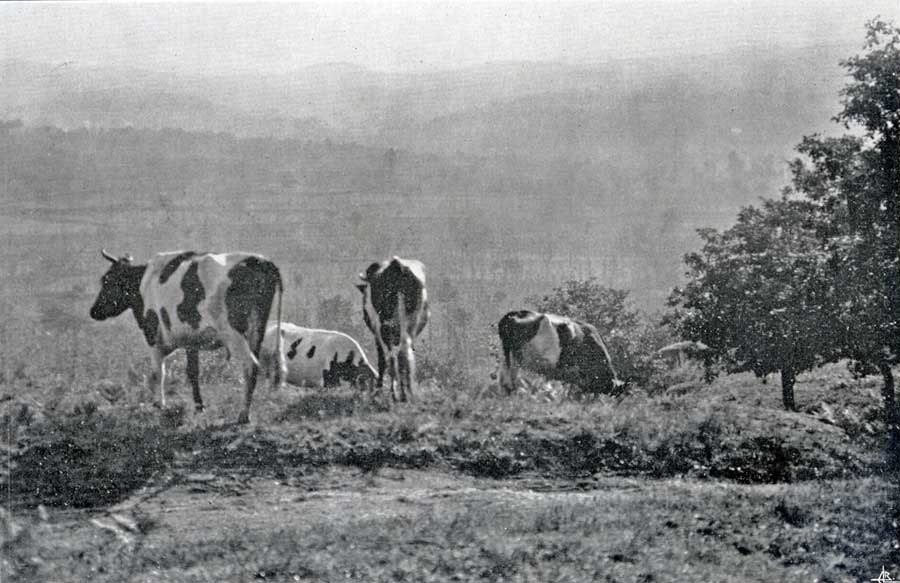 [ILModerna190Web.jpg]