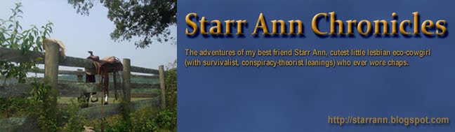 The Starr Ann Chronicles