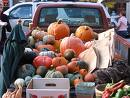 Links to info on Farmers Markets