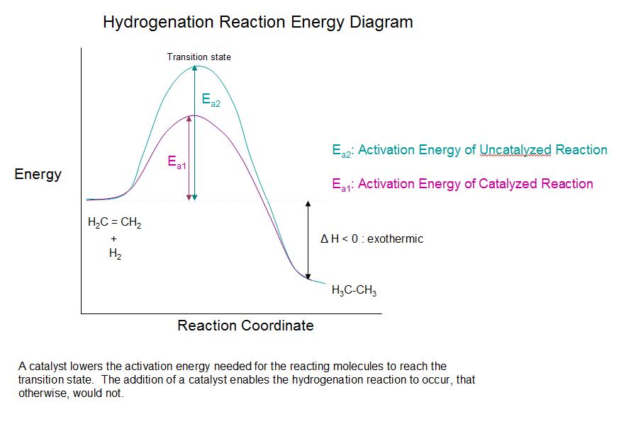 It is a picture of Obsessed Label the Energy Diagram for a Two Step Reaction This is a picture of Obsessed Label the Energy Diagram for a Two Step Reaction