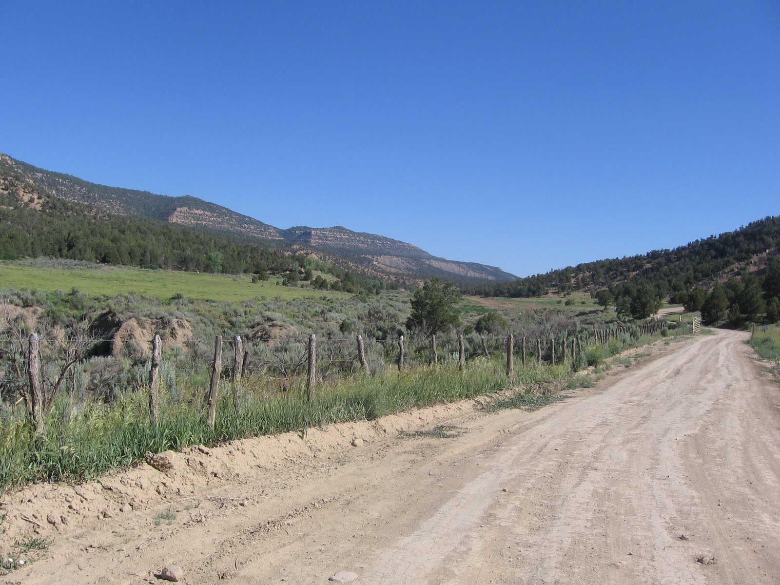 Four Corners HikesDolores River Valley Colorado Weber Canyon Trail