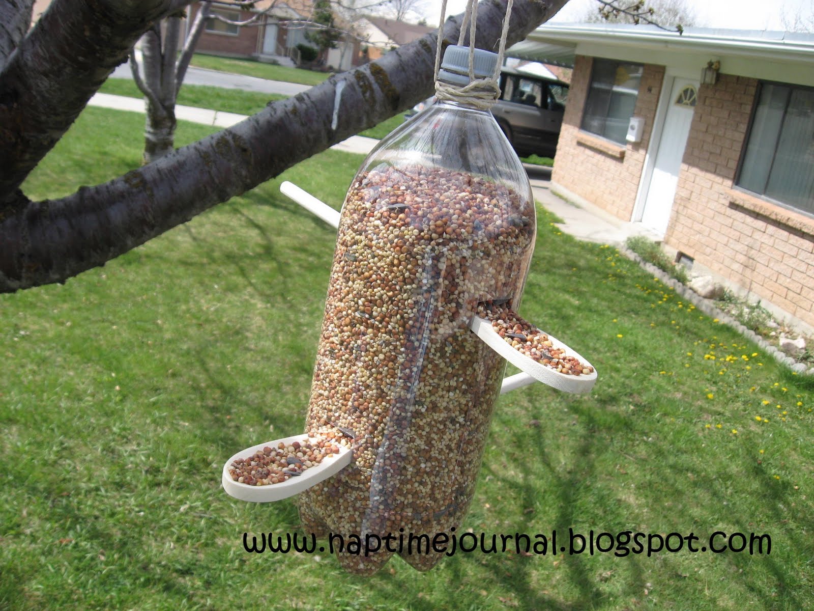 Bird Feeder Out Water Bottle Bird FeedersBird Feeders