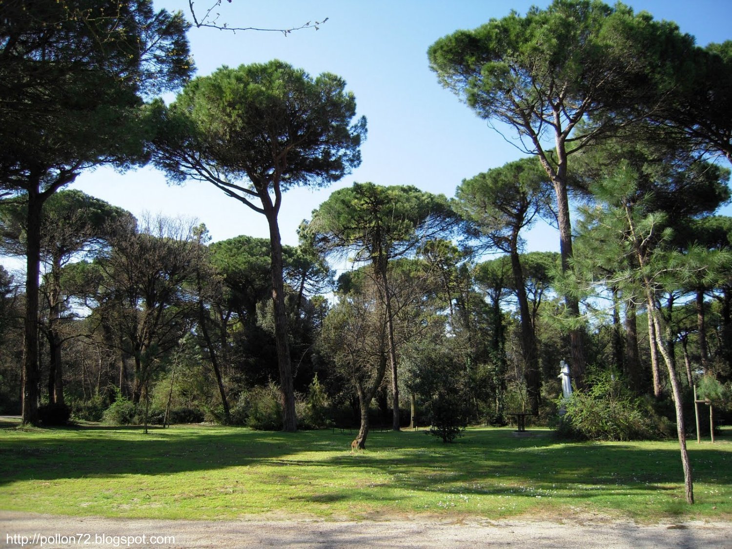 Parco Naturale Cervia