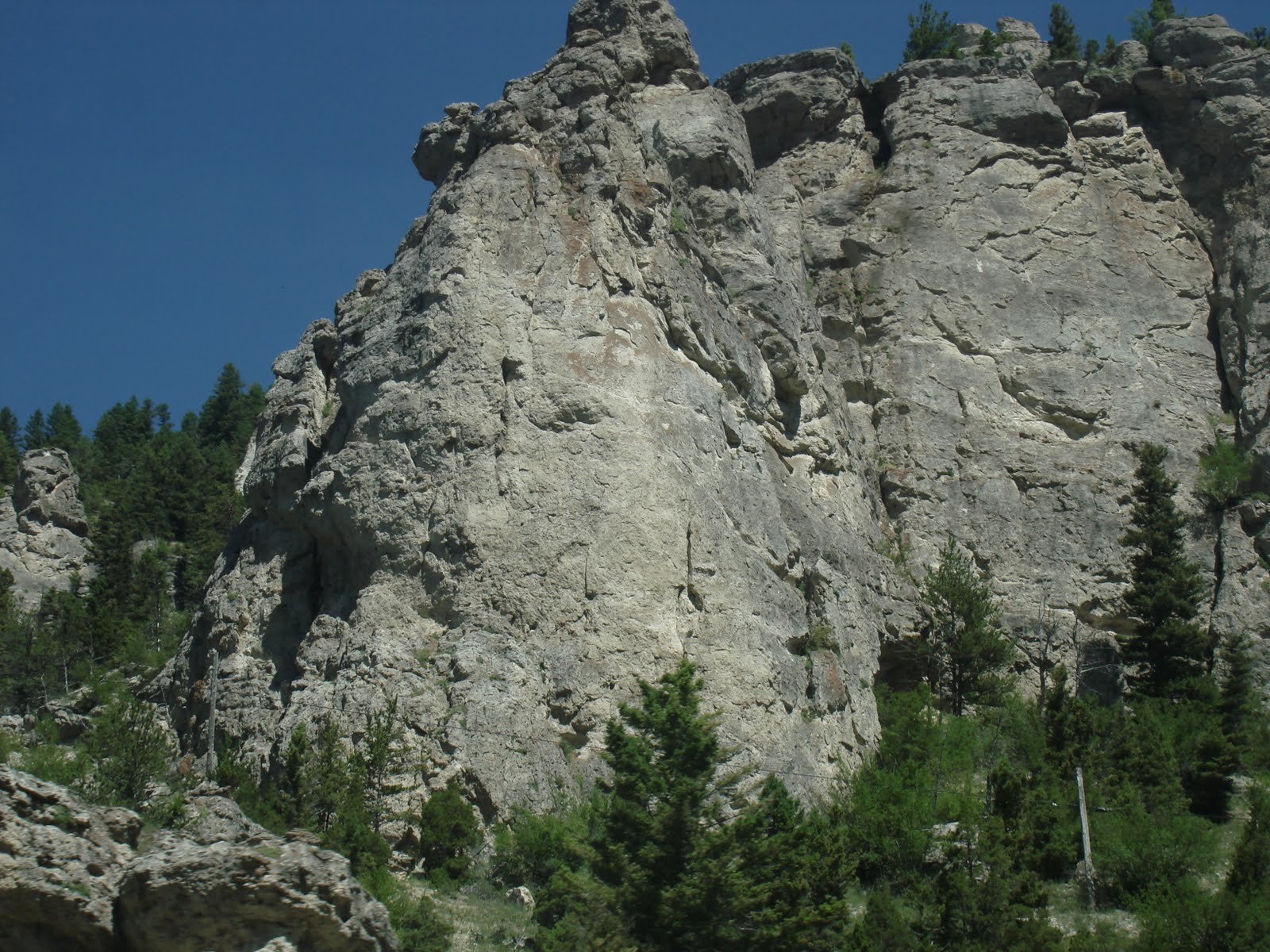 Clan of the Mountaindreamers: August 2010