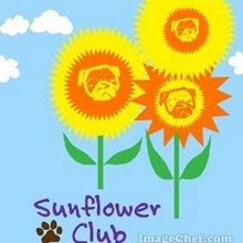The All Girl Sunflower Club
