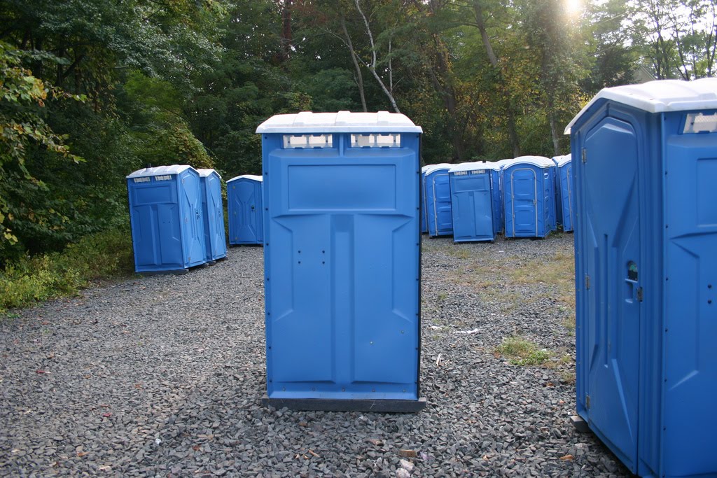 [2229581215_fbe85997be_b.jpg]