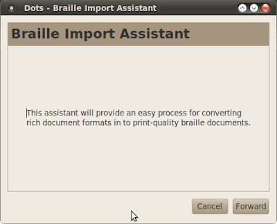 Dots braille typesetting program import assistant dialog