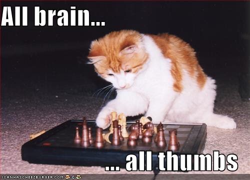 All Brains All Thumbs Cat ~ Funny Joke Pictures