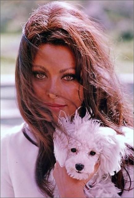 Noir and Chick Flicks: Happy Birthday : Sophia Loren