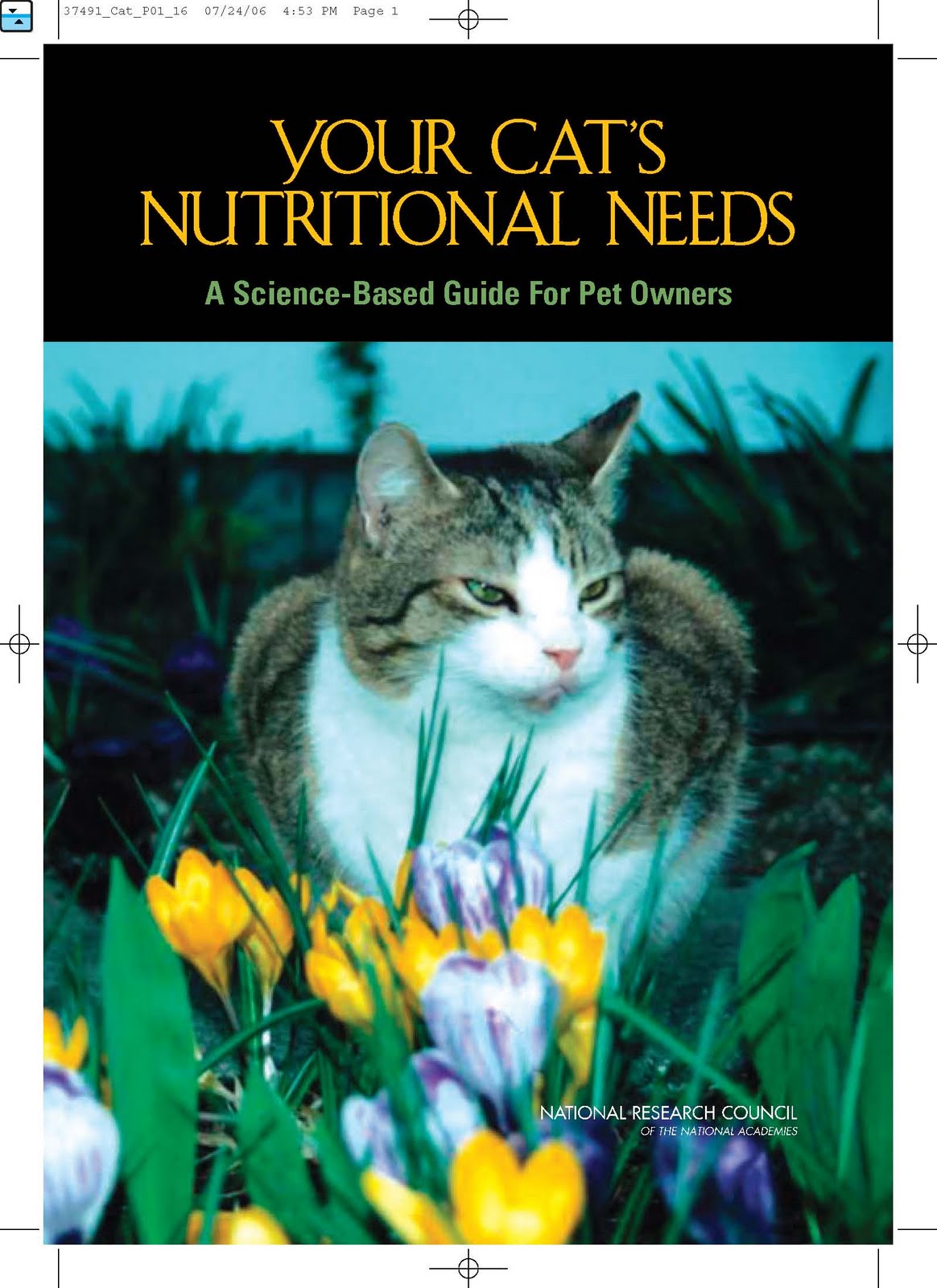 hades Your Cat's Nutritional Needs/ENG