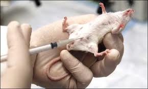 Education World: All about : Best Colleges for Zoology