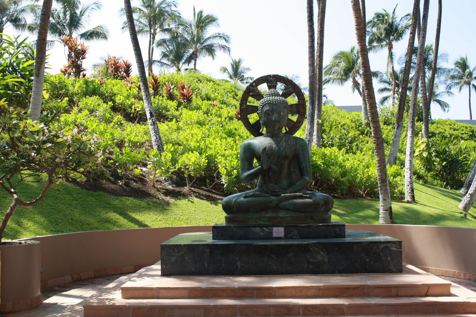hawaii fish eye A Statue of Buddha
