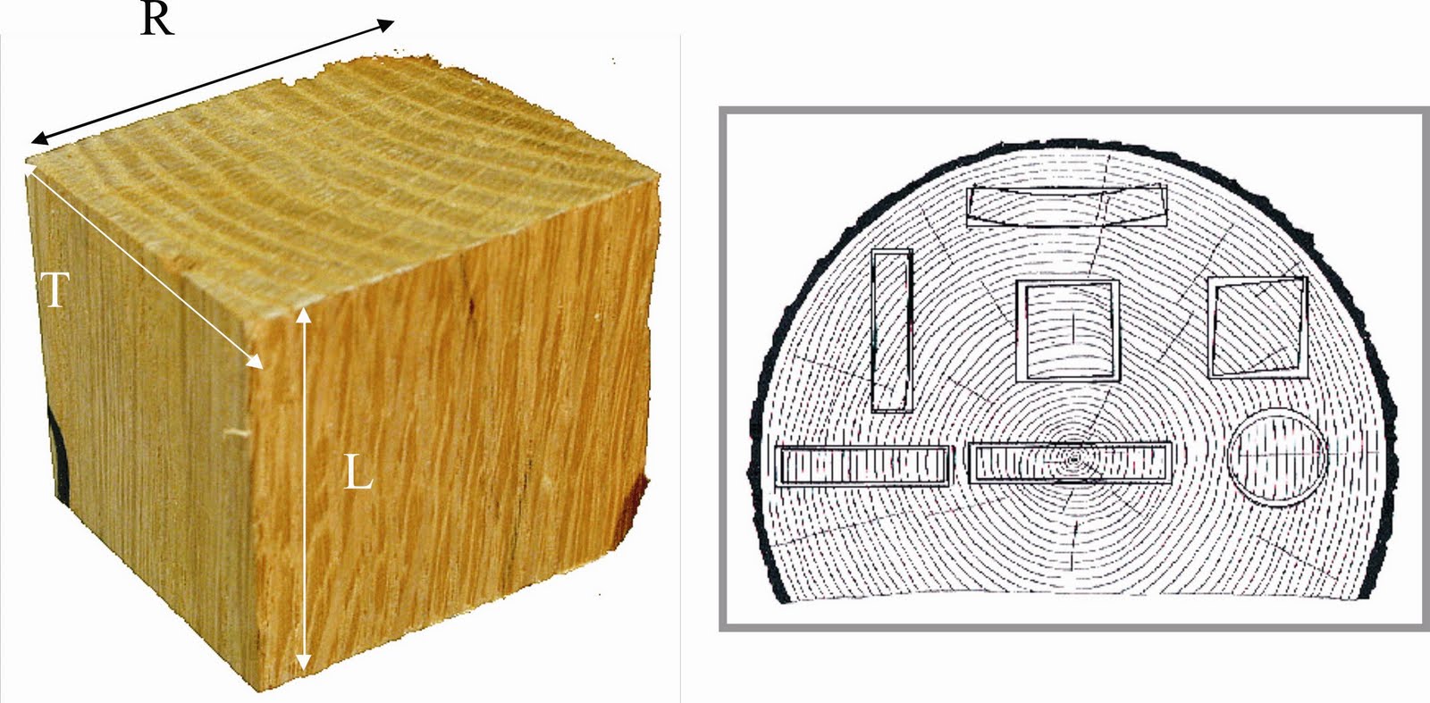Dunia Teknik Sipil: MATERIAL KAYU
