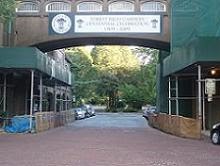 Entrance to the Gardens