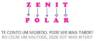 Resultado de imagem para zenit polar