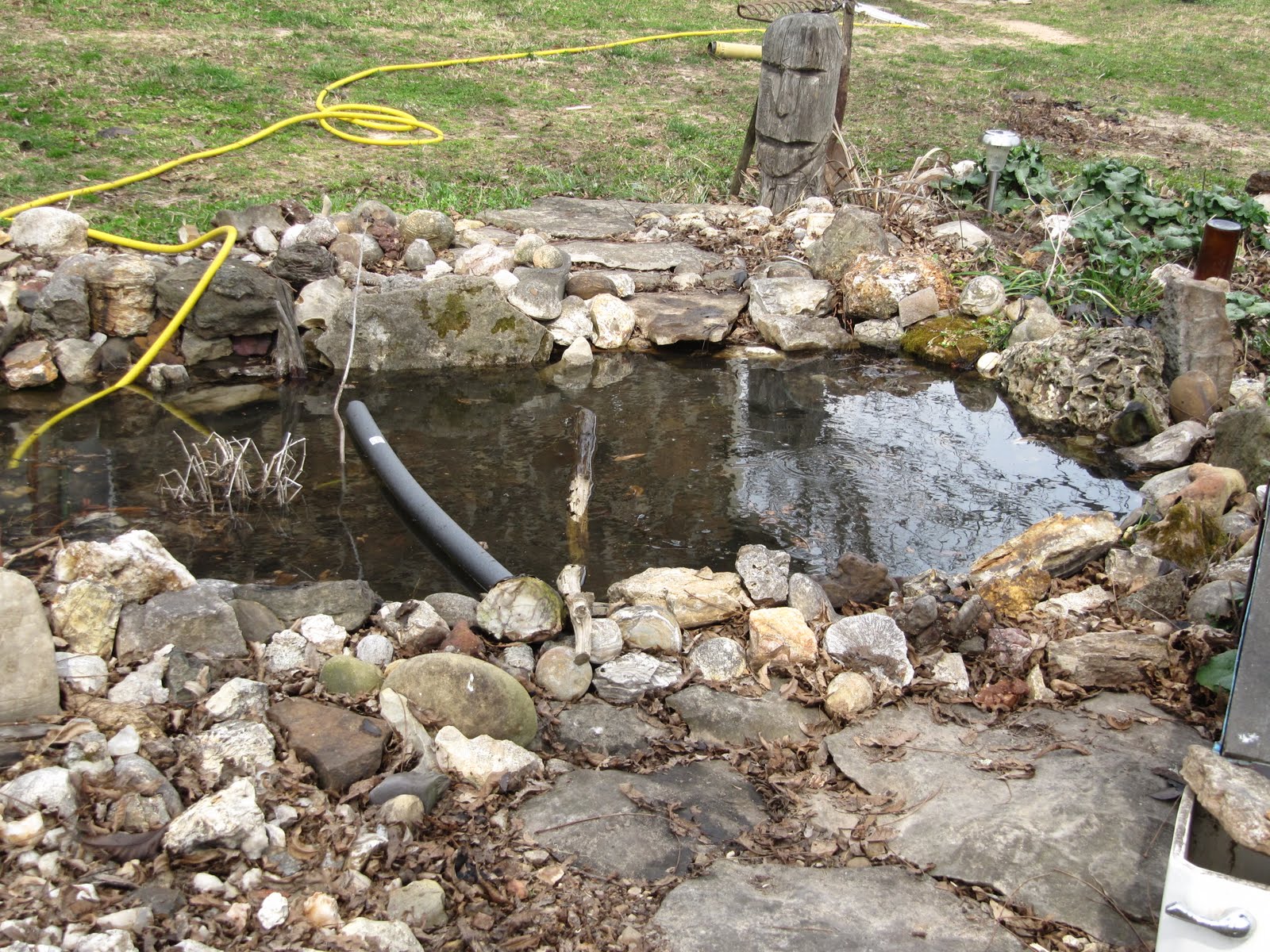 [watergarden+horses+011.jpg]