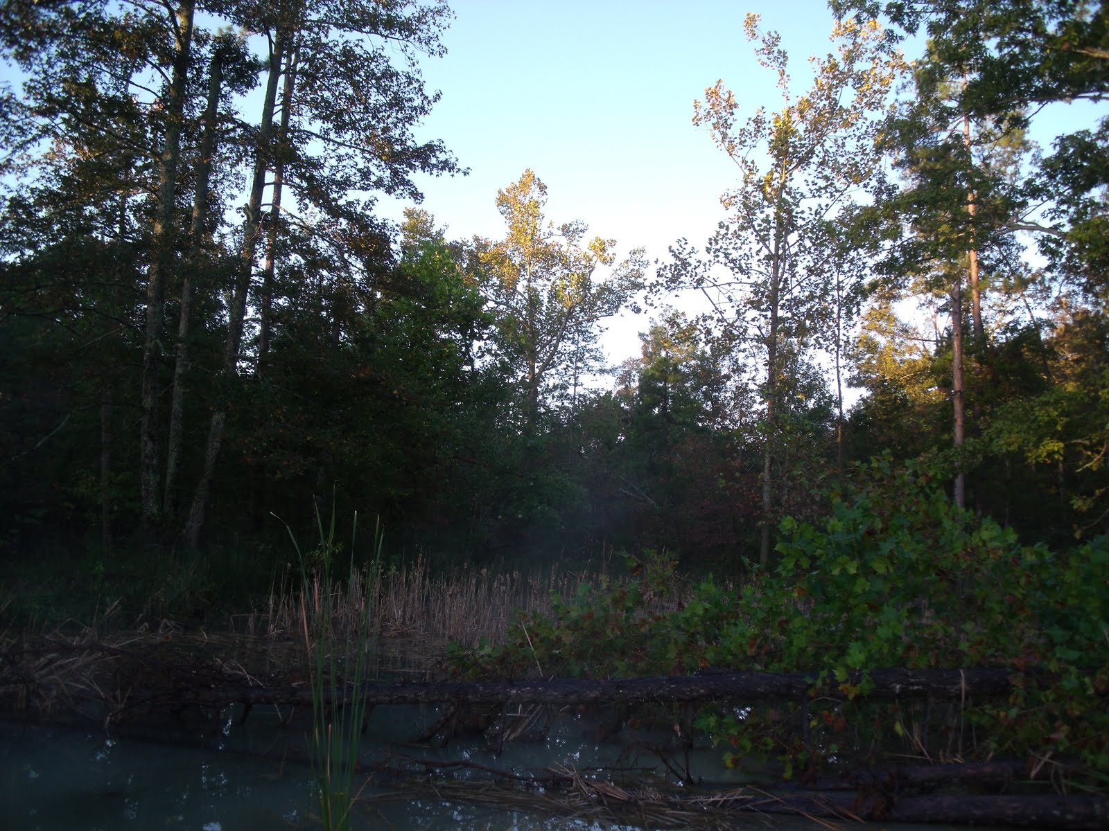 [Marcy+load+100209+242.jpg]