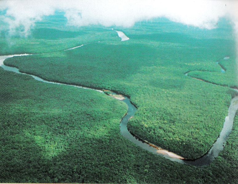 VENEZUELA TURISTICAESTADO DELTA AMACURO El Parque Nacional Delta del Orinoco MariusaLugar