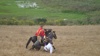 O Reponte A Batalha do Pulador