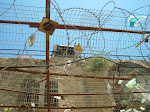 Hebron waste disposal