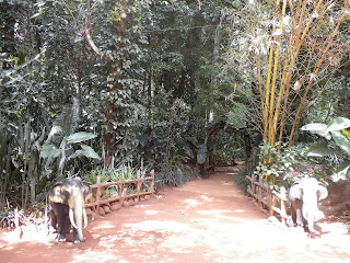 DoubleLife: The Spice of Life