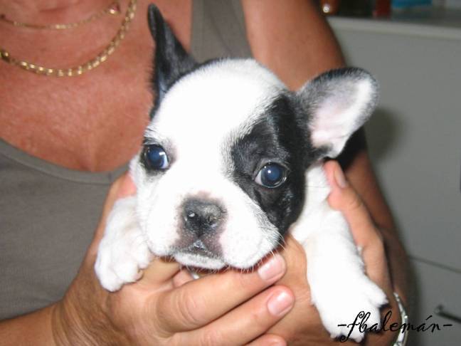 (II) RELATOS (AUTOBÚS)