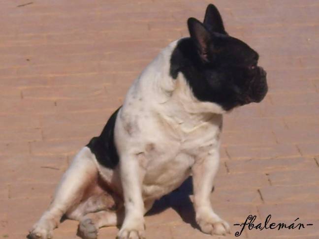 TEORIA OGM (IX) MATERIA Y ANTIMATERIA