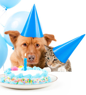 birthday.jpg