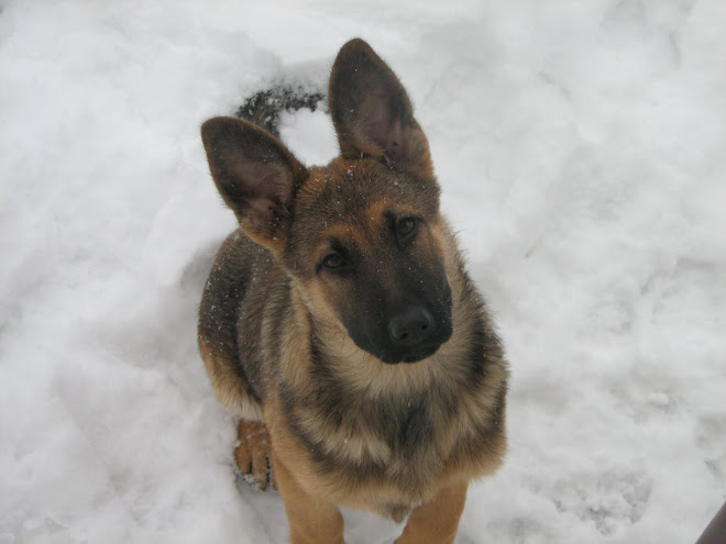 Maya, in attesa di apprendere nozzioni di soccorso in montagna.