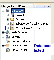 Technology World: Using NetBeans Database Tools