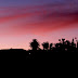 red evening