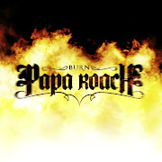 Papa Roach - Burn Lyrics I didn't know you were a fake papa roach burn