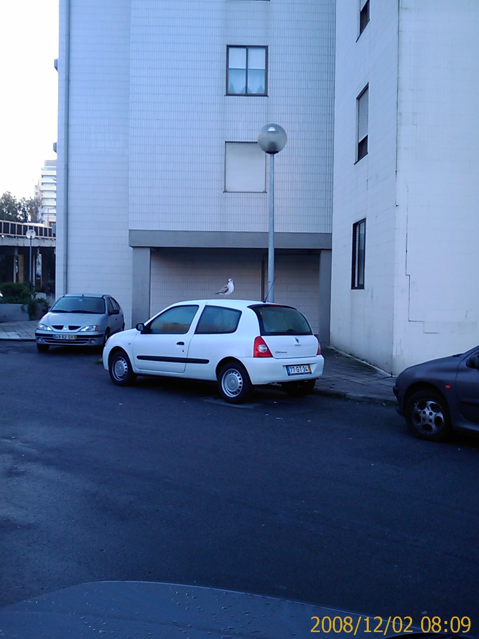 [200812020809_056.jpg]